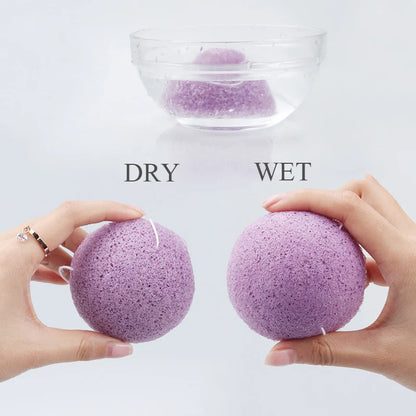 Brainbow Konjac Sponge Beauty Essentials