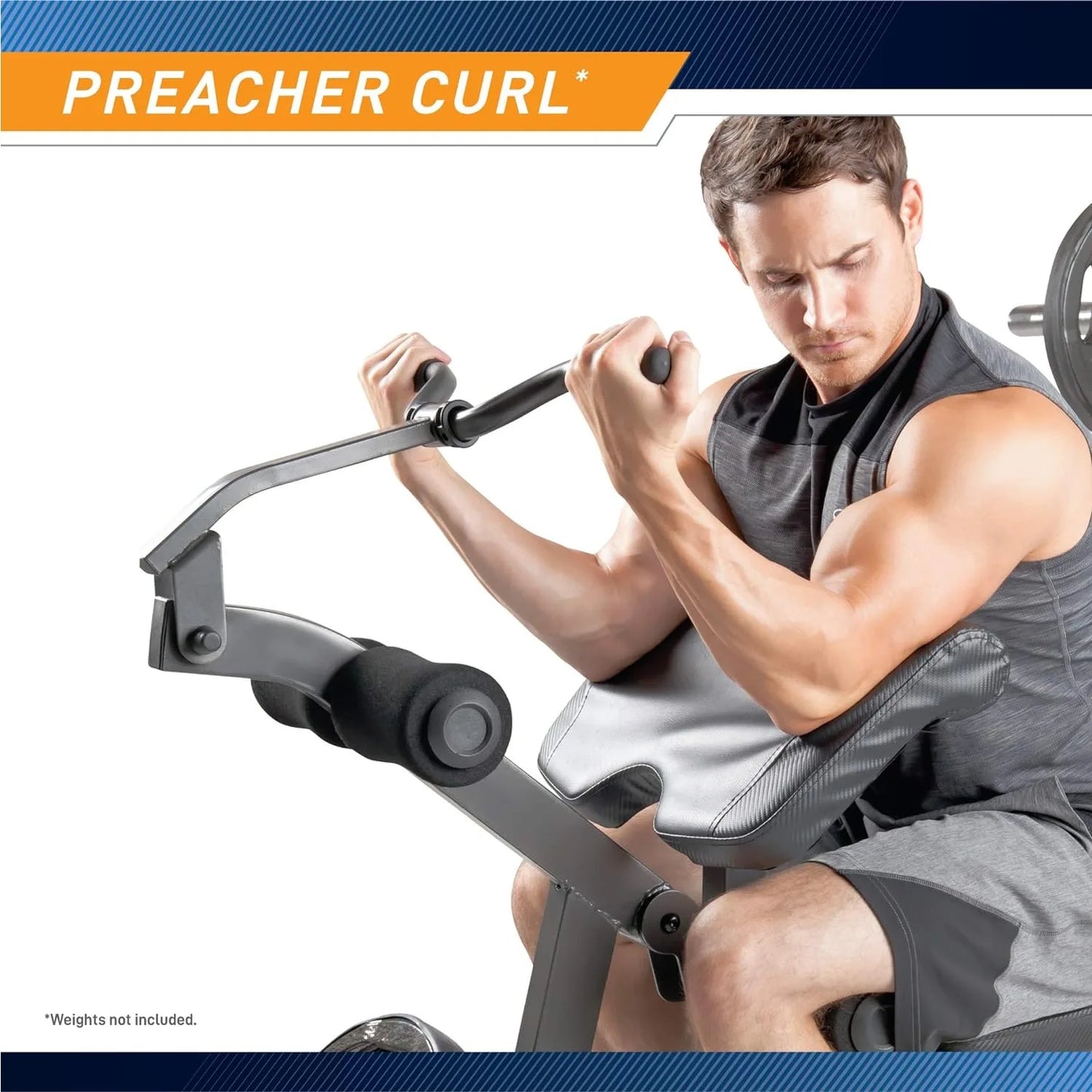 Weight Bench with Preacher Curl Pad